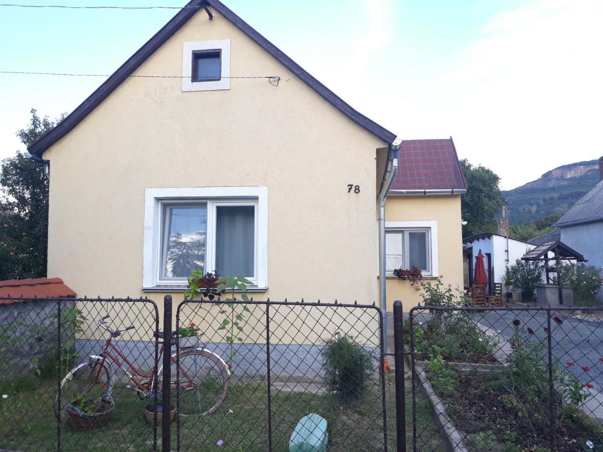 Kucko Apartman Badacsonytördemic Eksteriør billede